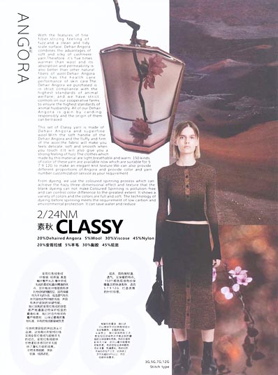 2 / 24NM CLASSY 20% Dehaired Angora 5% Lana 30% Viscosa 45% Nylon