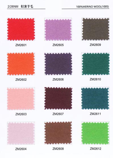 2 / 26NM 100% Laine mérinos(100S)